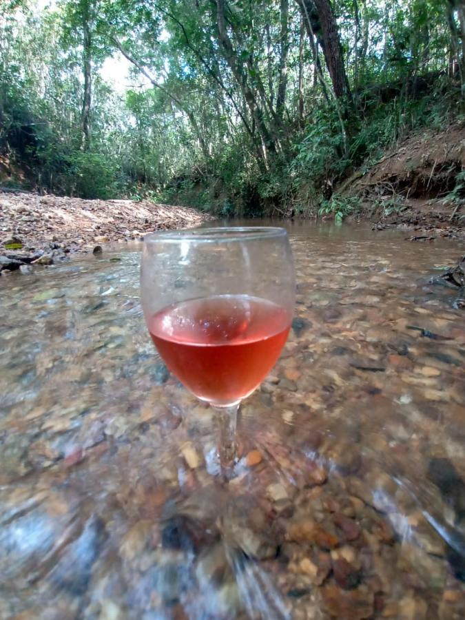 Chale Aconchegante, Pertinho Da Cidade E Conectada A Natureza ブラジリア エクステリア 写真